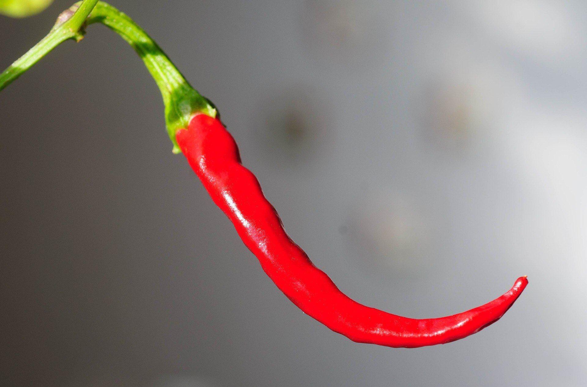 Chili Chili