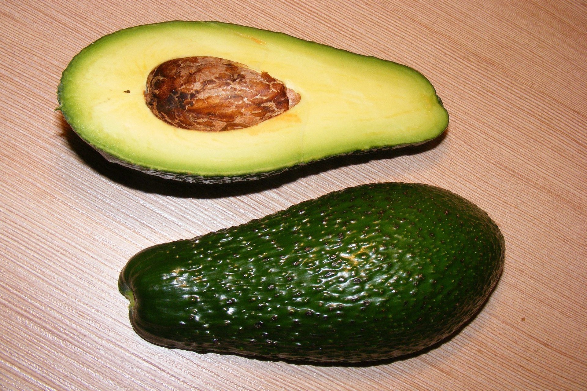 Avocado Avocado