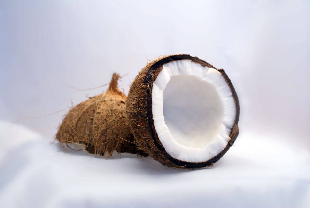 Kokosnuss Kokosnuss