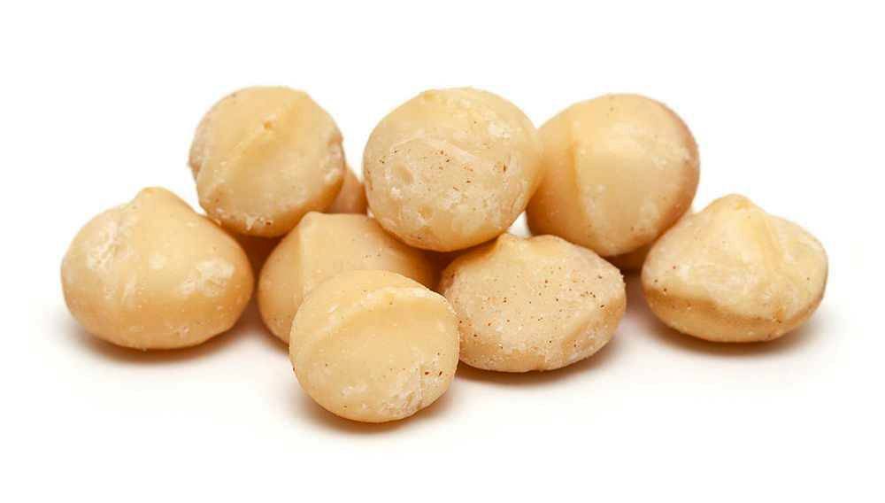 Macadamia Macadamia